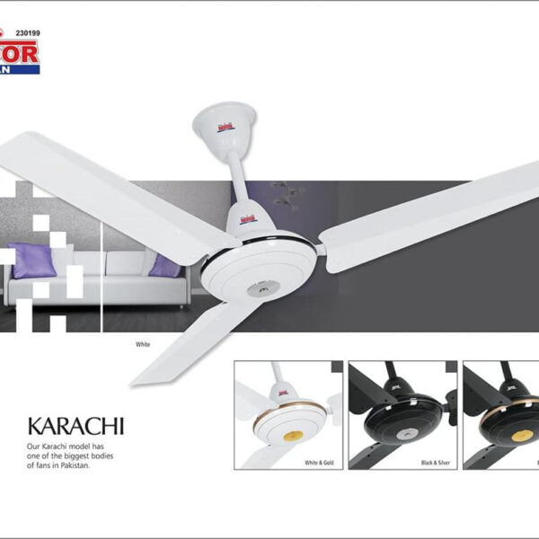 Karachi Silver Fan